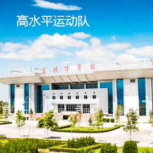 高水平運(yùn)動(dòng)隊(duì)
